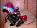 The Crow Hop Kitties The Crow Hop Kitties