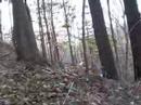 Tryon Park