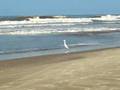 Praia do Araçá