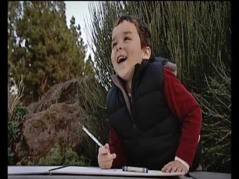 Ver vídeo
