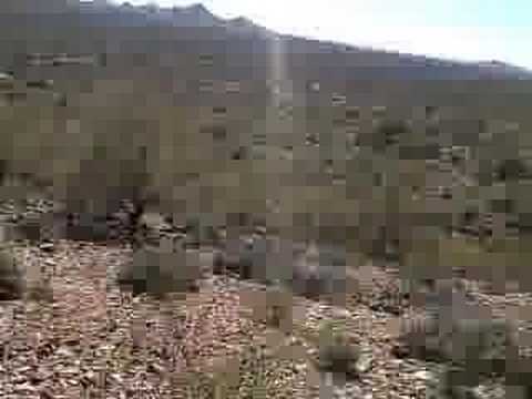 Mountain Biker Log, February 9, 08, Tonto National Forest AZ