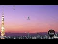 Windows XP Style Option Missing by Britec