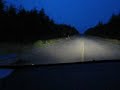 Moose at Night