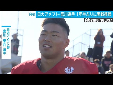 動画