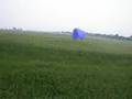 PPG low flying through corn fields