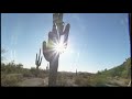 join todd english as he explores the roots of southwestern cooking - from native american traditions to chuck wagon dinners.