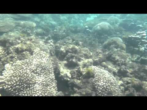Panasonic Lumix FT4 (Norfolk Island)