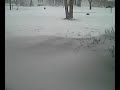 Blizzard Tornadoes VI Blizzard Tornadoes VI