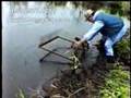YouTube - Beaver trap set on dam