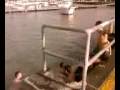 videos de Tuffo a Salerno il 19 dicembre