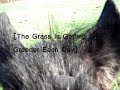 [& The Grass Is Getting Greener Each Day...] [500]