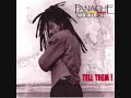 I don't like reggae