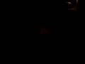 videos de Piggie Save Me!!