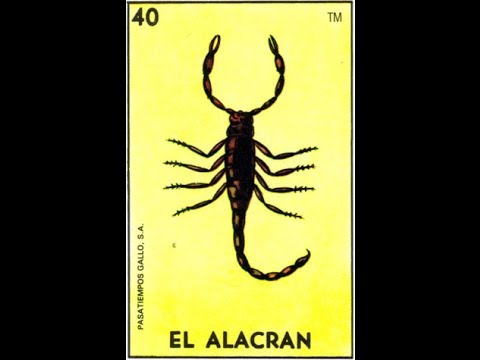 EL ALACRAN - UNDER SIDE 821 ft LOW BARRIO