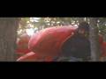 videos de 
