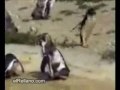 Reviente del Viernes