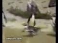 Reviente del Viernes