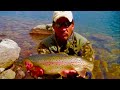 Fly Fishing for Greenback Cutthroat Trout #1 (Colorado)