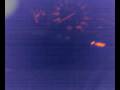 BMW 320i engine malfunction