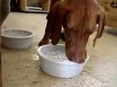 Jack Bobbing for cubes Jack Bobbing for cubes