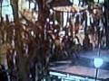 videos de Opptøyer Oslo- verste på 30 år