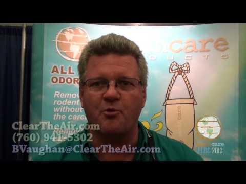 how to eliminate dead mouse smell