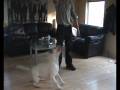 Morning Exercise