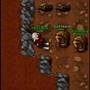 Mercator Dla ~Tibia.pl~ [ Poradnik Jak trenowac ]