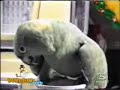 Zamiast dziecka Zamiast dziecka