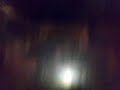 Video Del Peixe