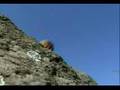 Assistir ao v�deo