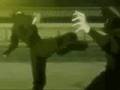 gifs