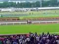 東京競馬場動画15