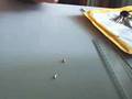 Neodymium Magnets