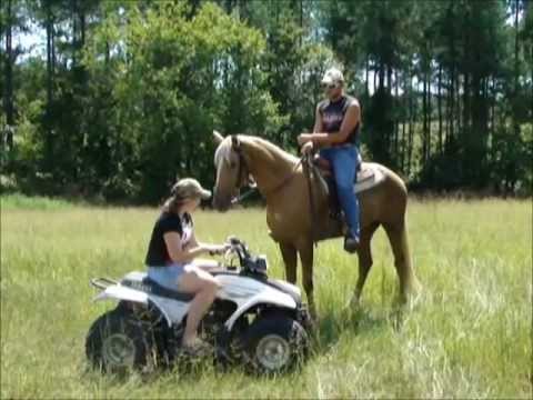 runners and riders