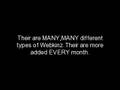 GANZ Corporations presents: Webkinz Summary.