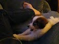 Oliver