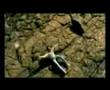 India Cricket World Cup song 2003