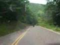 Down The Hill