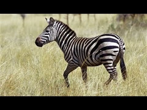Смотреть фильм смертельный танец 1 серия