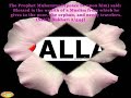 The Prophet Muhammad pbuh