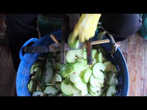 ส้มแขก คีรีวง นครศรี