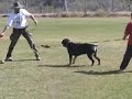 Karli v Eschenhagen