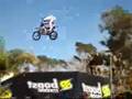 Metal Mulisha