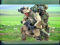 pitbull   the american war