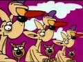 criceto dance criceto dance