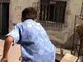 O Cavalo