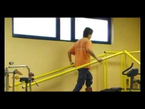Ver video