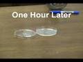 How to do air quality testing for mold
