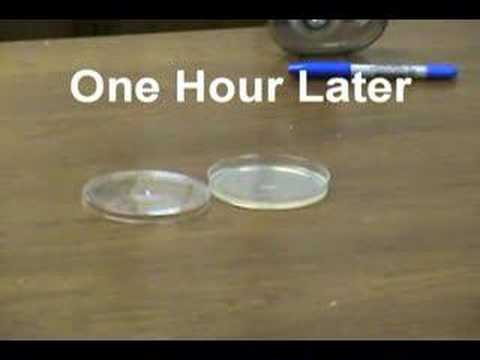 how to test for air quality in a home